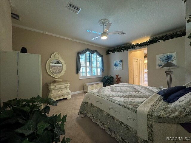 14 Plumbago Ct, Homosassa, FL 34446 - photo 19