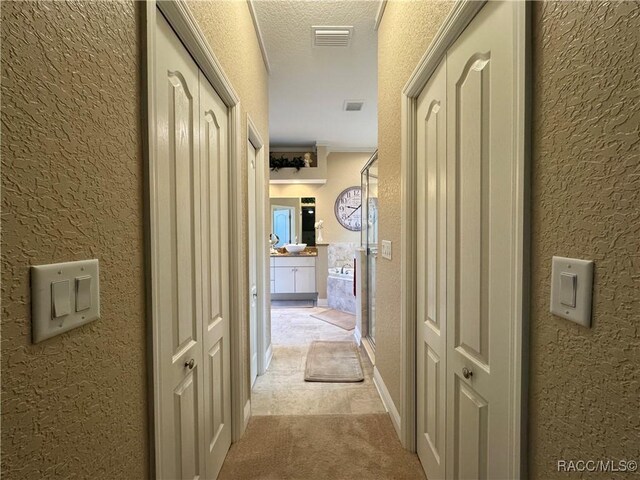 14 Plumbago Ct, Homosassa, FL 34446 - photo 21