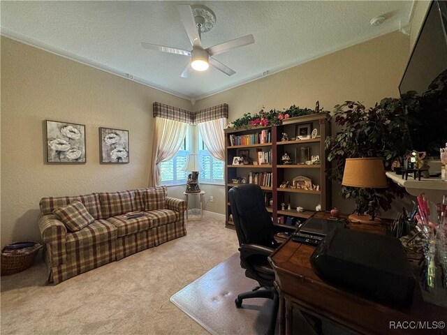 14 Plumbago Ct, Homosassa, FL 34446 - photo 26