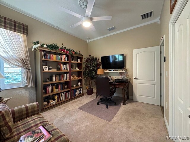 14 Plumbago Ct, Homosassa, FL 34446 - photo 27