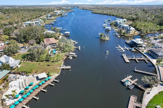 drone / aerial view with a water view and a view of trees