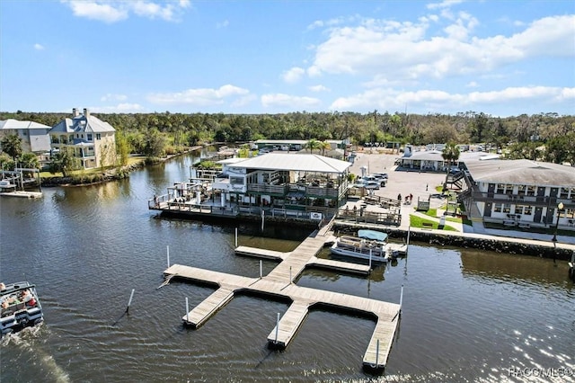 dock area featuring a water view