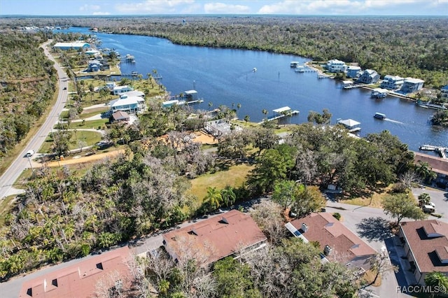 drone / aerial view featuring a water view and a forest view