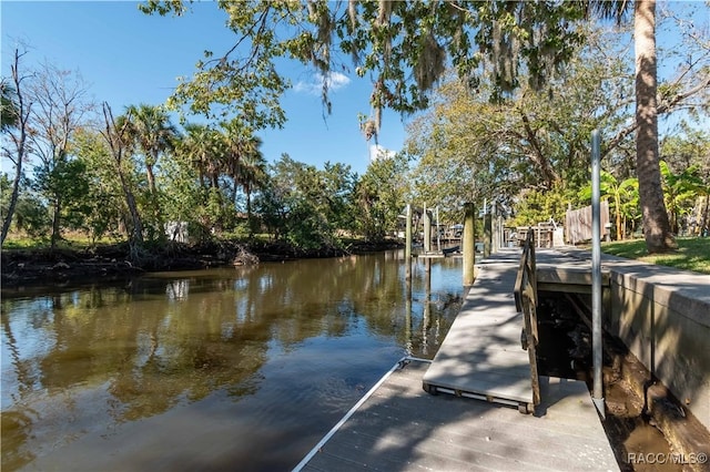 dock area with a water view