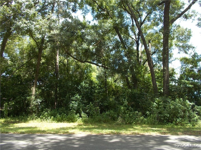 2449 W Fairway Loop, Citrus Springs FL, 34434 land for sale