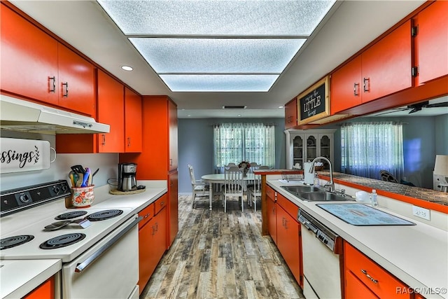 kitchen with a wealth of natural light, sink, light hardwood / wood-style floors, and white appliances