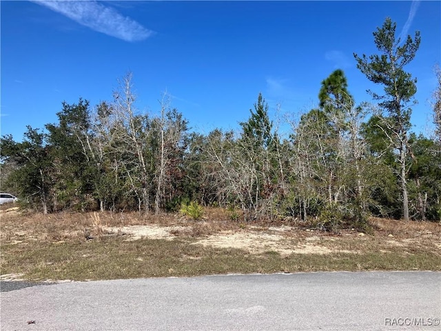 17 Rudbeckia Ct, Homosassa FL, 34446 land for sale