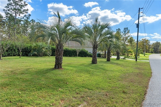 view of property's community featuring a lawn