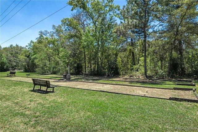 view of community with a yard