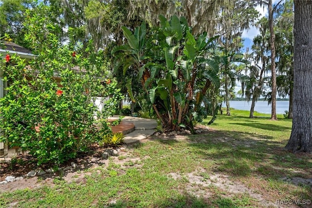 4015 E Parsons Point Rd, Hernando, FL 34442 - view of grassy yard with a water view