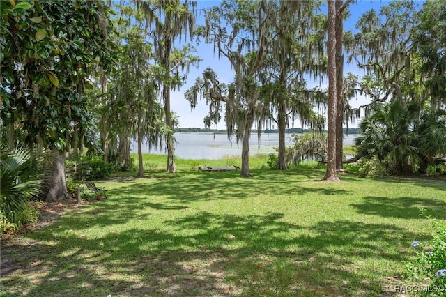 4015 E Parsons Point Rd, Hernando, FL 34442 - view of green lawn with a water view