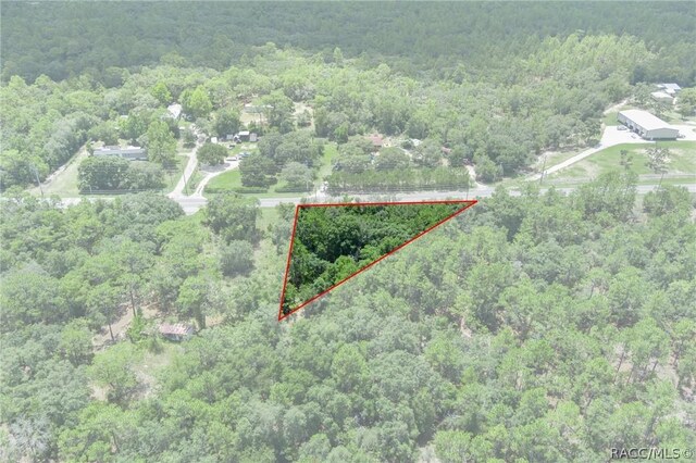 4479 W Homosassa Trl, Lecanto, FL 34461 - photo 9