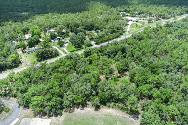 4479 W Homosassa Trl, Lecanto, FL 34461 - photo 8
