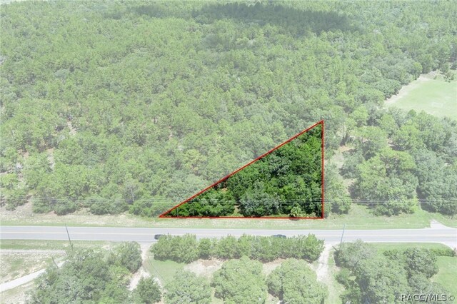 4479 W Homosassa Trl, Lecanto, FL 34461 - photo 2