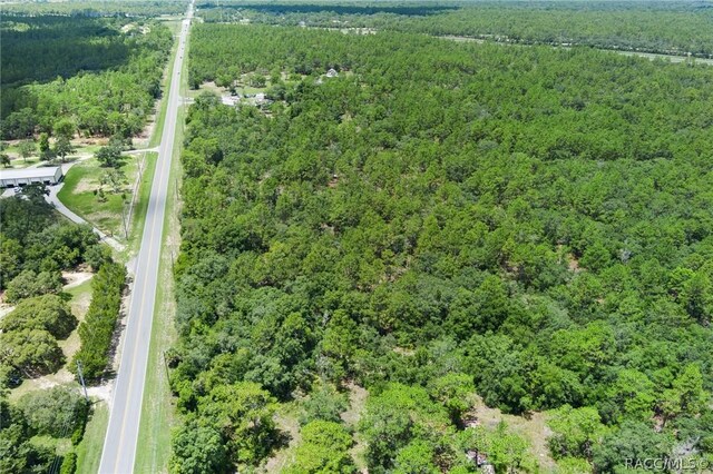 4479 W Homosassa Trl, Lecanto, FL 34461 - photo 5
