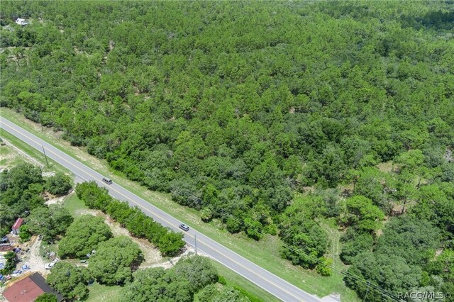 4479 W Homosassa Trl, Lecanto, FL 34461 - photo 4