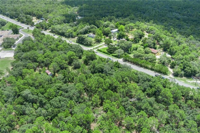 4479 W Homosassa Trl, Lecanto, FL 34461 - photo 11