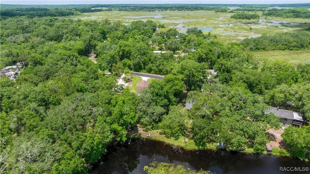1179 N Point Lonesome Rd, Inverness, FL 34453 - aerial view of property's location featuring a forest and a nearby body of water