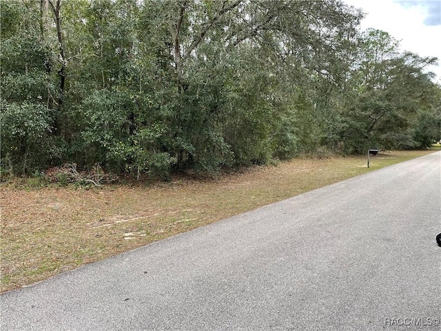 1124 W Redding St, Hernando FL, 34442 land for sale