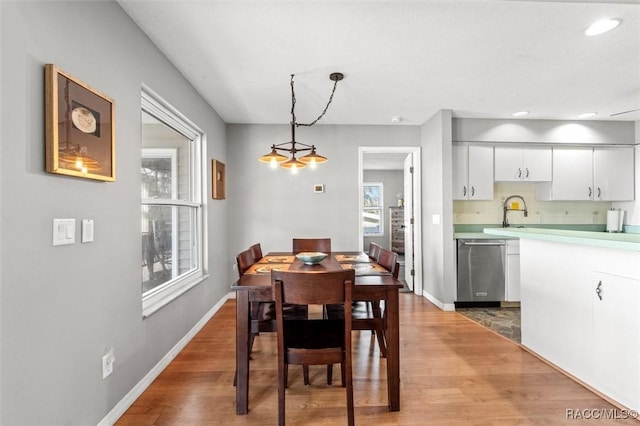 dining space featuring sink and wood-type flooring