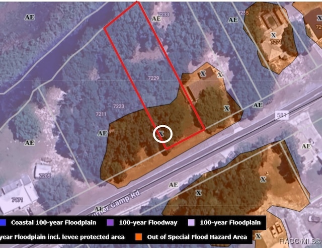 7229 E Turner Camp Rd, Inverness, FL 34453 - photo 1