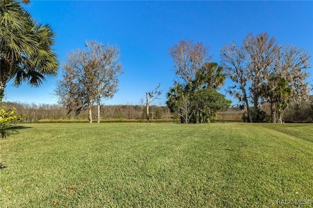 view of yard