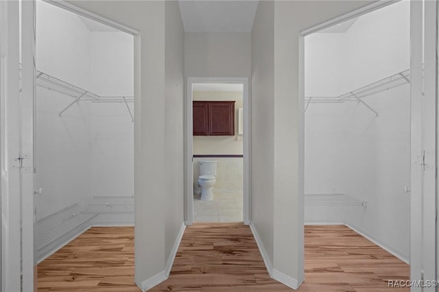 walk in closet featuring light wood finished floors