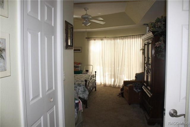 bedroom featuring carpet flooring and a tray ceiling