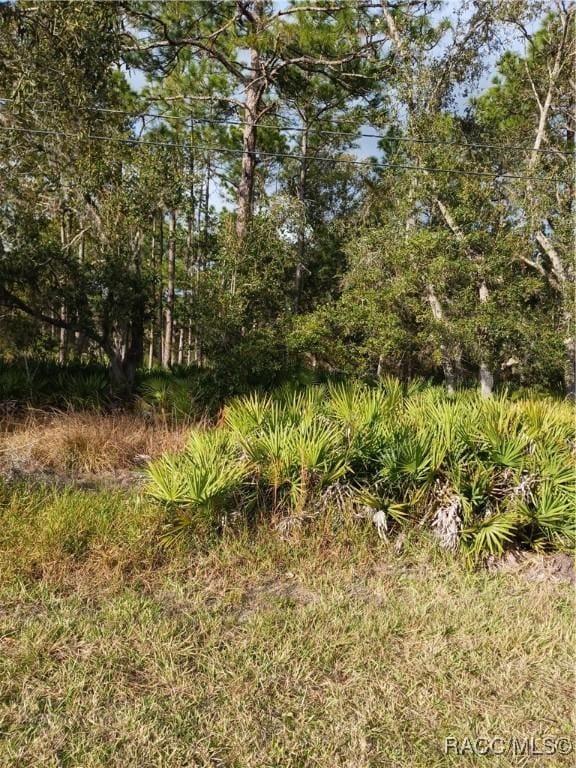 6905 W Oak Park Blvd, Homosassa FL, 34446 land for sale