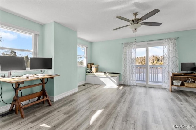 interior space featuring light hardwood / wood-style floors, plenty of natural light, and ceiling fan