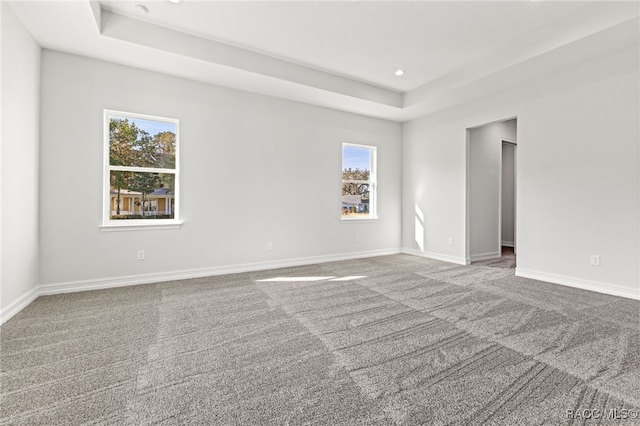 empty room featuring carpet, a tray ceiling, and a healthy amount of sunlight