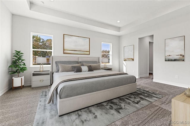 bedroom featuring a raised ceiling, multiple windows, and carpet floors