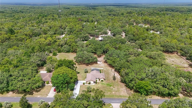 262 N Indianapolis Ave, Hernando, FL 34442 - aerial view of property's location with a heavily wooded area
