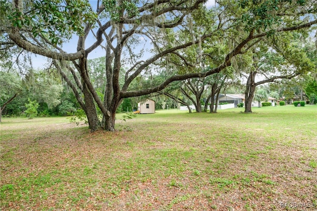 262 N Indianapolis Ave, Hernando, FL 34442 - view of green lawn