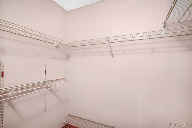 262 N Indianapolis Ave, Hernando, FL 34442 - view of walk in closet