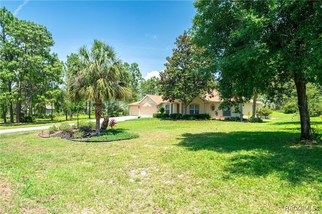 4690 W Tomahawk Dr, Beverly Hills, FL 34465 - view of green lawn featuring driveway