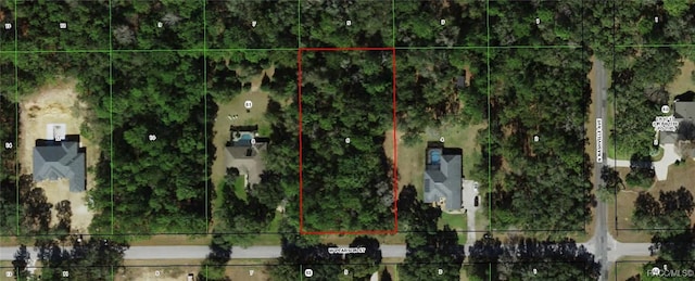 1565 W Pearson St, Hernando, FL 34442 - photo 1