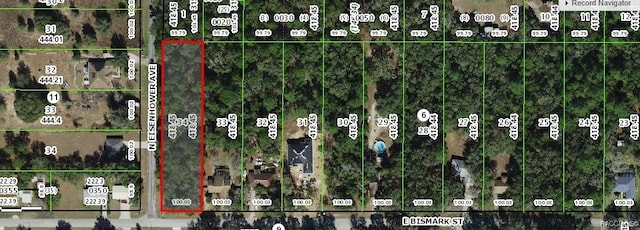 1011 E Bismark St, Hernando, FL 34442 - photo 2