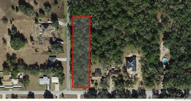 1011 E Bismark St, Hernando, FL 34442 - photo 4