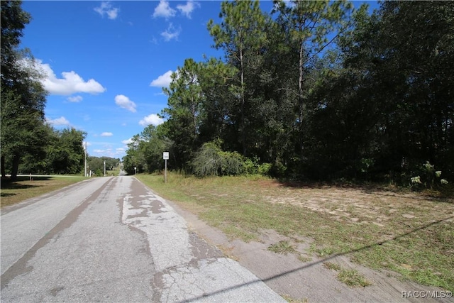 1011 E Bismark St, Hernando, FL 34442 - photo 7