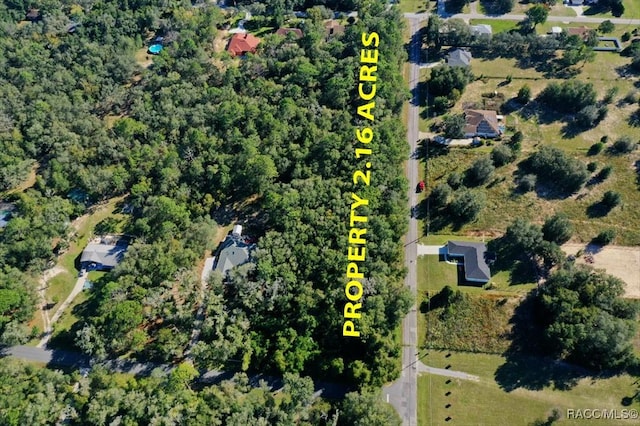 1011 E Bismark St, Hernando, FL 34442 - photo 6