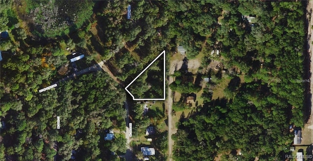 259 NE 169th Ave, Silver Springs FL, 34488 land for sale