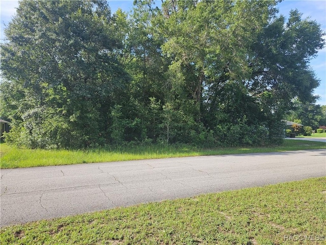 2004 W Rutland Dr, Citrus Springs, FL 34434
