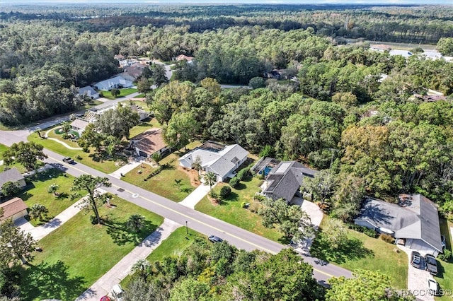 130 Douglas St, Homosassa, FL 34446 - photo 38