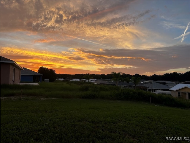 view of yard at dusk