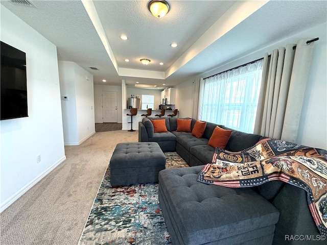 living room with a raised ceiling, light colored carpet, and a textured ceiling