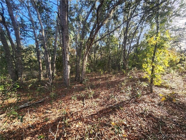 2176 W Conway Dr, Citrus Springs, FL 34434 - photo 4