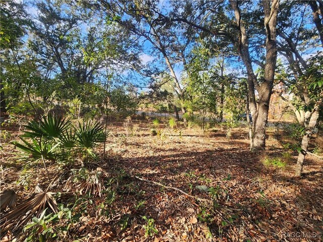 2176 W Conway Dr, Citrus Springs, FL 34434 - photo 5