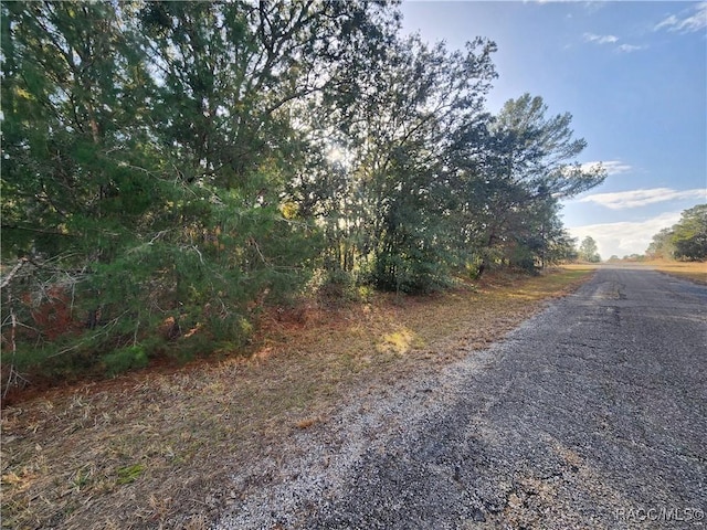 Listing photo 3 for 2176 W Conway Dr, Dunnellon FL 34434