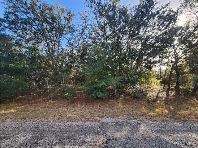 2176 W Conway Dr, Citrus Springs FL, 34434 land for sale